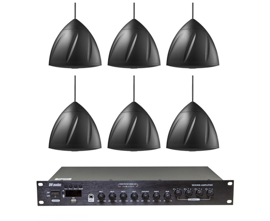 Комплект звука DV audio LA1206PS5B для помещения до 160 м.кв - 161654 за 30192 грн. | 4Club