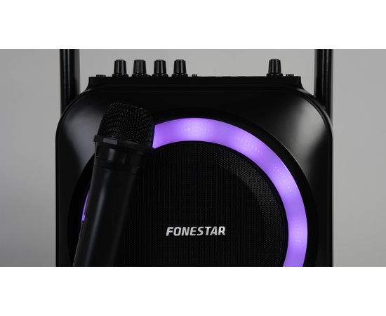 Портативная акустическая система Fonestar BOX-35LED