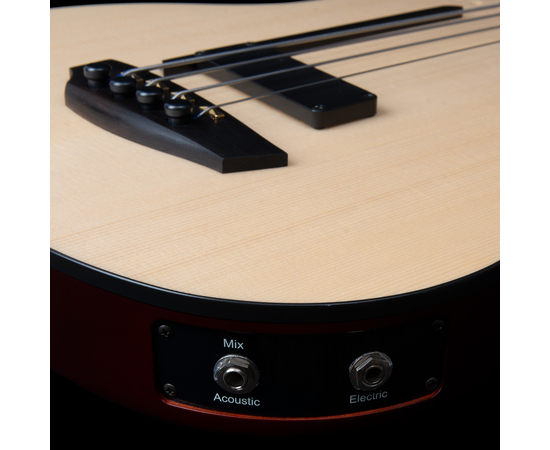 Безладовая полуакустическая бас-гитара Godin A4 Ultra Natural Fretless A/E (050796)