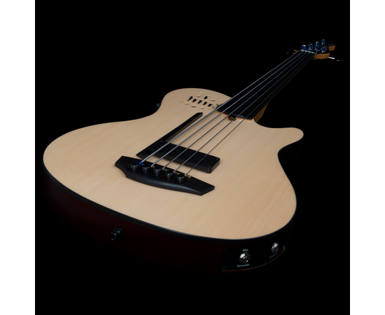 5-струнная безладовая полуакустическая бас-гитара Godin A5 Ultra Natural Fretless A/E (050789)