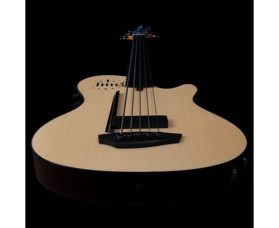 5-струнная безладовая полуакустическая бас-гитара Godin A5 Ultra Natural Fretless A/E (050789)
