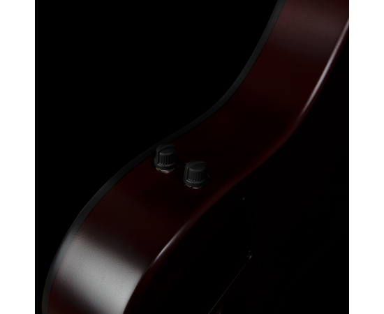 5-струнная безладовая полуакустическая бас-гитара Godin A5 Ultra Natural Fretless A/E (050789)