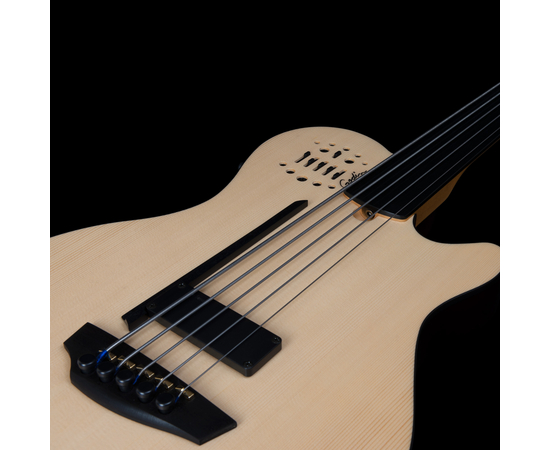 5-струнная безладовая полуакустическая бас-гитара Godin A5 Ultra Natural Fretless A/E (050789)