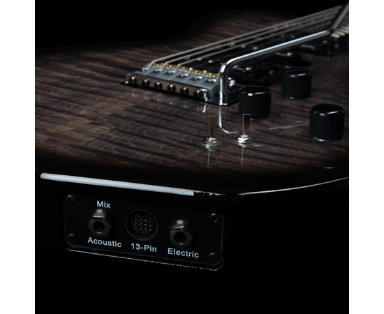 Електрогітара GODIN XTSA Leaftop TransBlack 025503