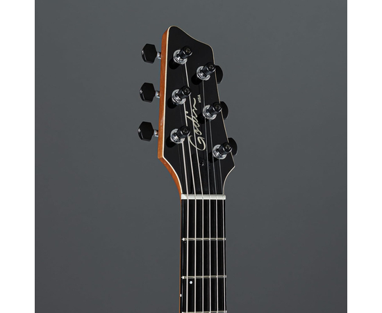 Електрогітара GODIN XTSA Leaftop TransBlack 025503