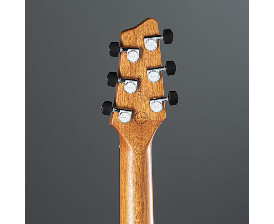 Електрогітара GODIN XTSA Leaftop TransBlack 025503