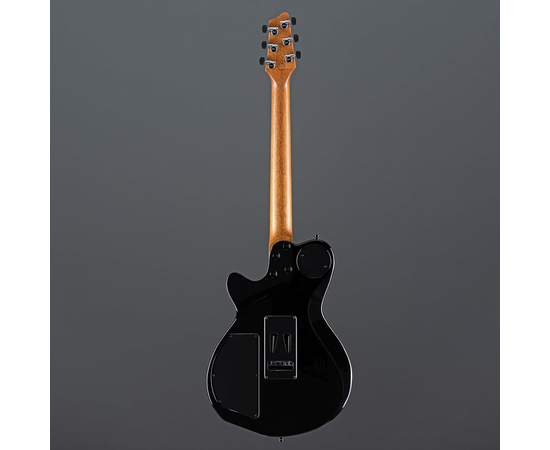 Електрогітара GODIN XTSA Leaftop TransBlack 025503