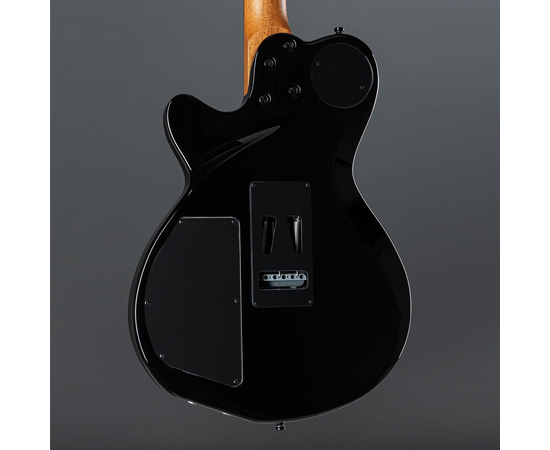 Електрогітара GODIN XTSA Leaftop TransBlack 025503
