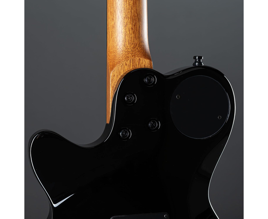 Електрогітара GODIN XTSA Leaftop TransBlack 025503