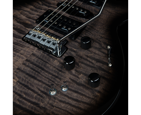 Електрогітара GODIN XTSA Leaftop TransBlack 025503