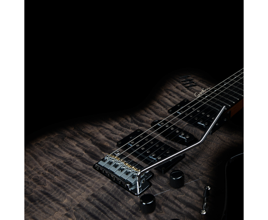 Електрогітара GODIN XTSA Leaftop TransBlack 025503