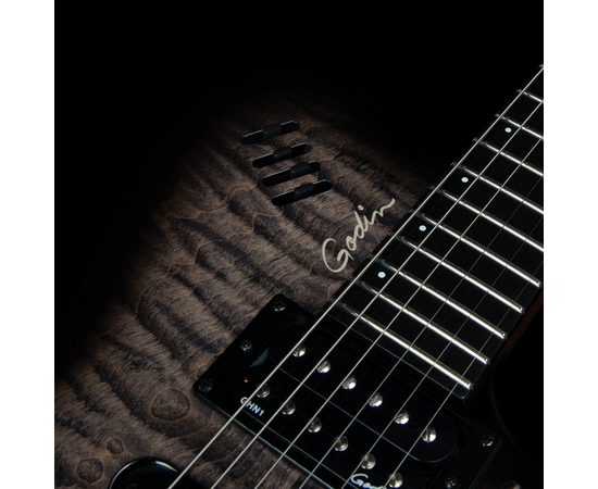 Електрогітара GODIN XTSA Leaftop TransBlack 025503